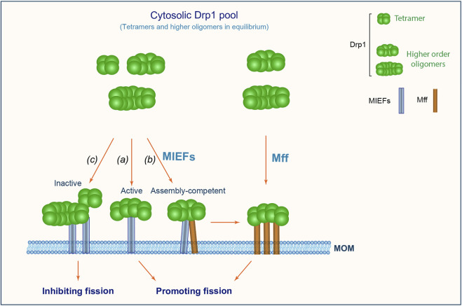 FIGURE 9