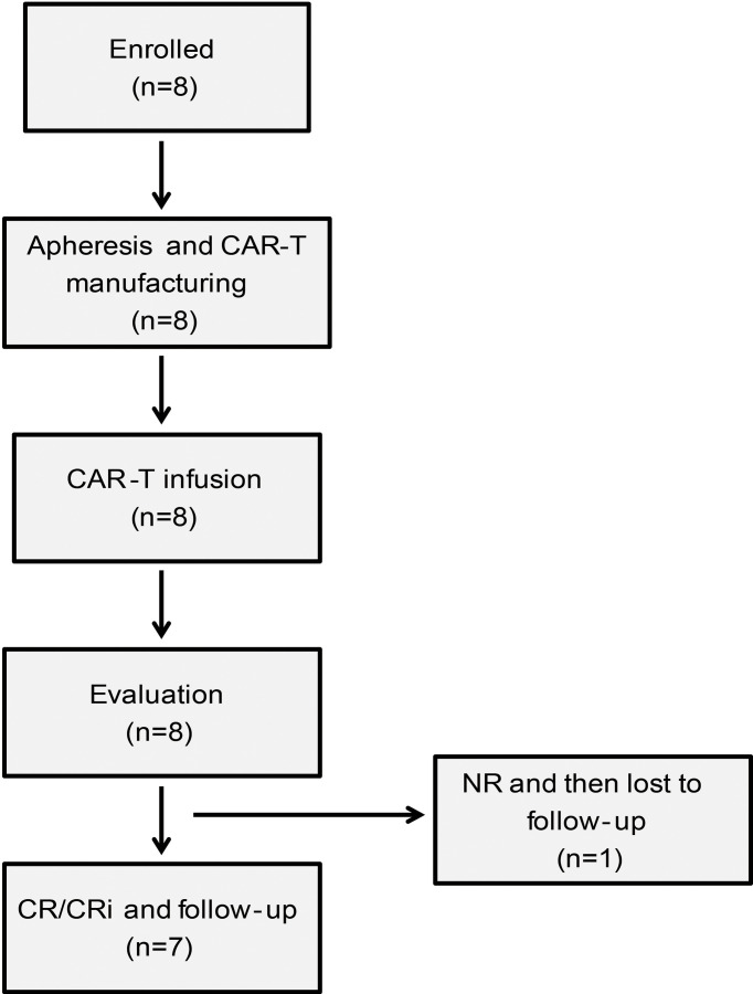 Figure 1