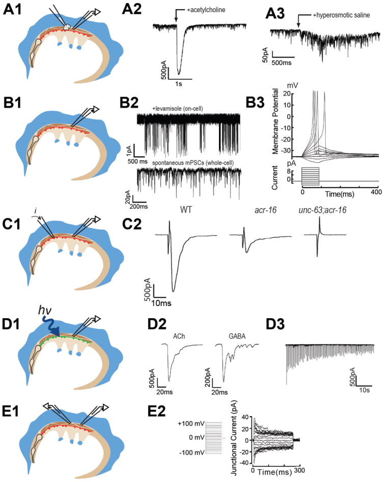 Figure 9