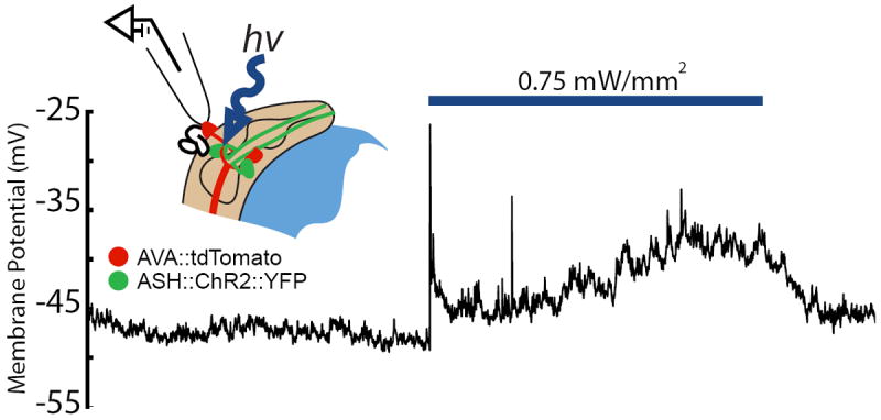 Figure 5