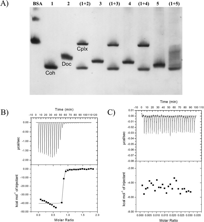 FIGURE 5.