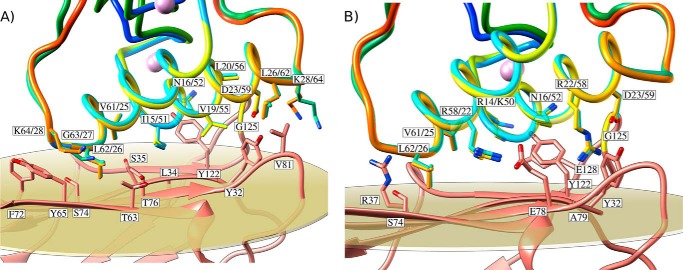 FIGURE 3.