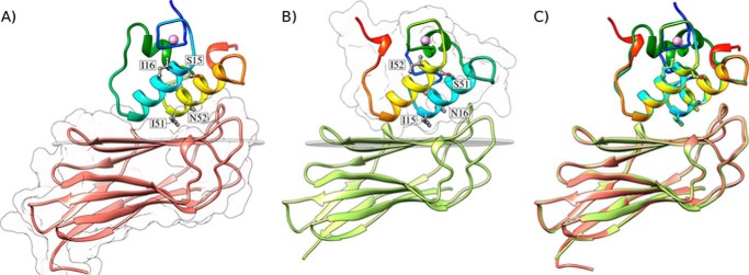 FIGURE 2.