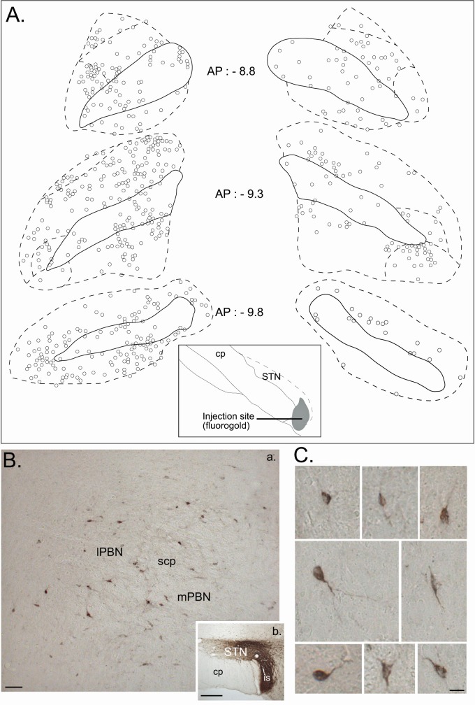 Figure 9.