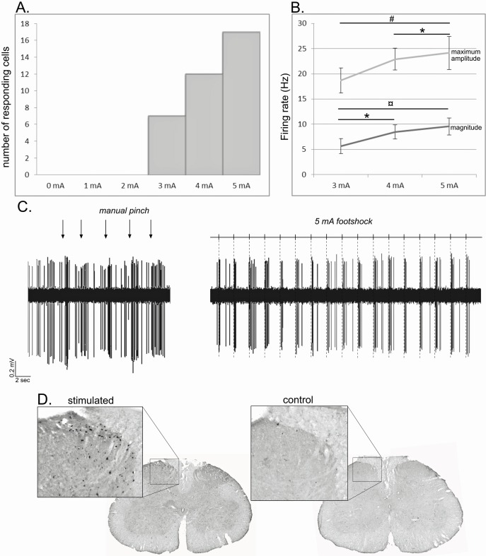 Figure 10.