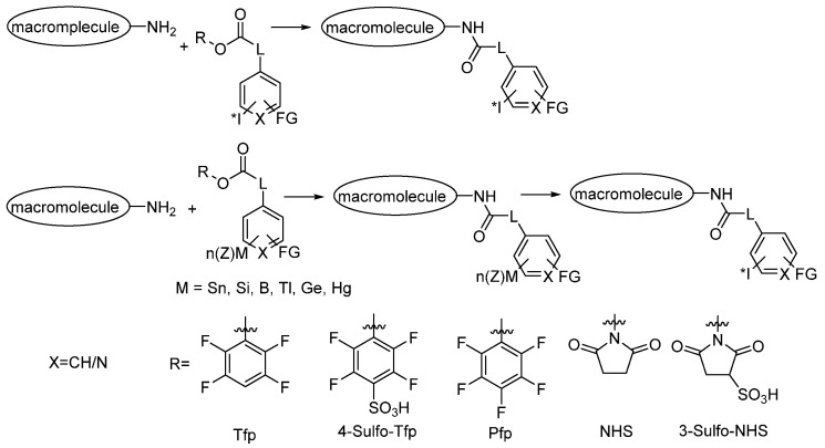 Scheme 22