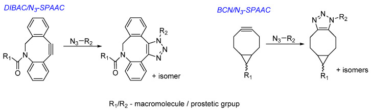 Scheme 25