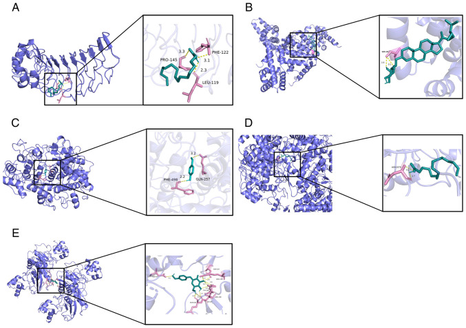 Figure 5