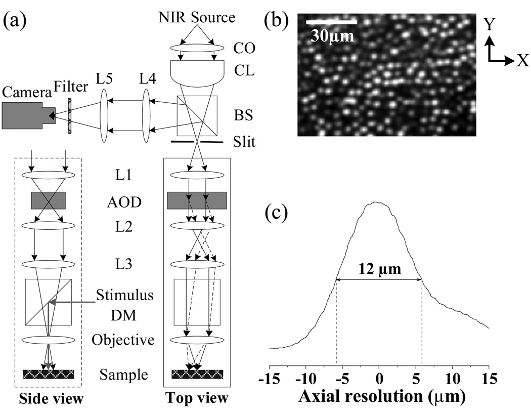 Fig. 1