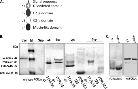 Fig. 9.