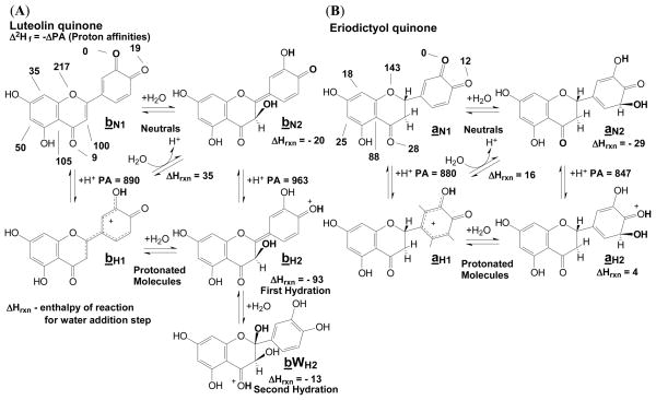 Scheme 3