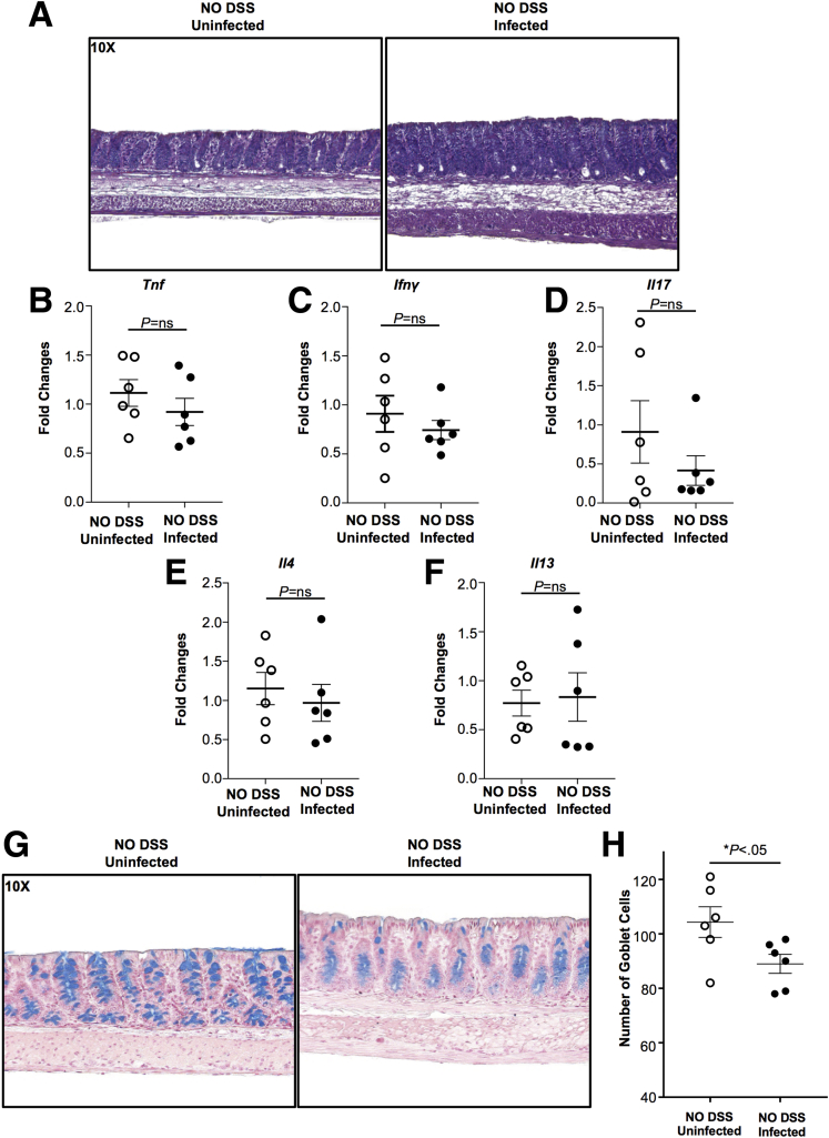 Figure 6