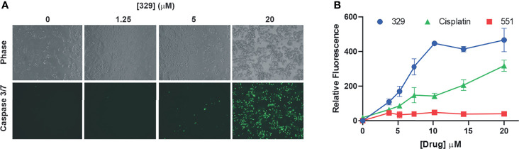 Figure 3