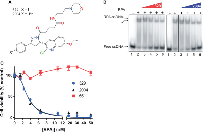 Figure 2