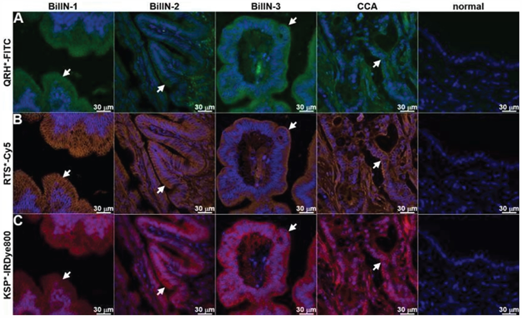 Figure 3: