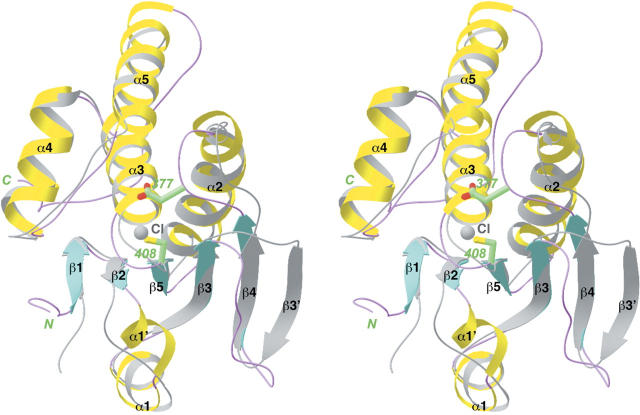 Figure 5.