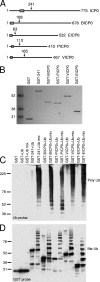 FIG. 5.
