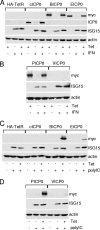 FIG. 10.