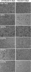 FIG. 9.