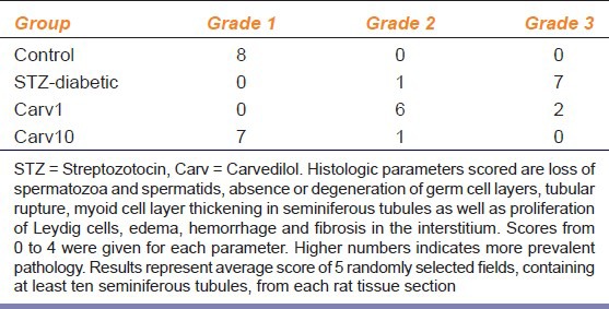 graphic file with name IJPharm-46-161-g002.jpg