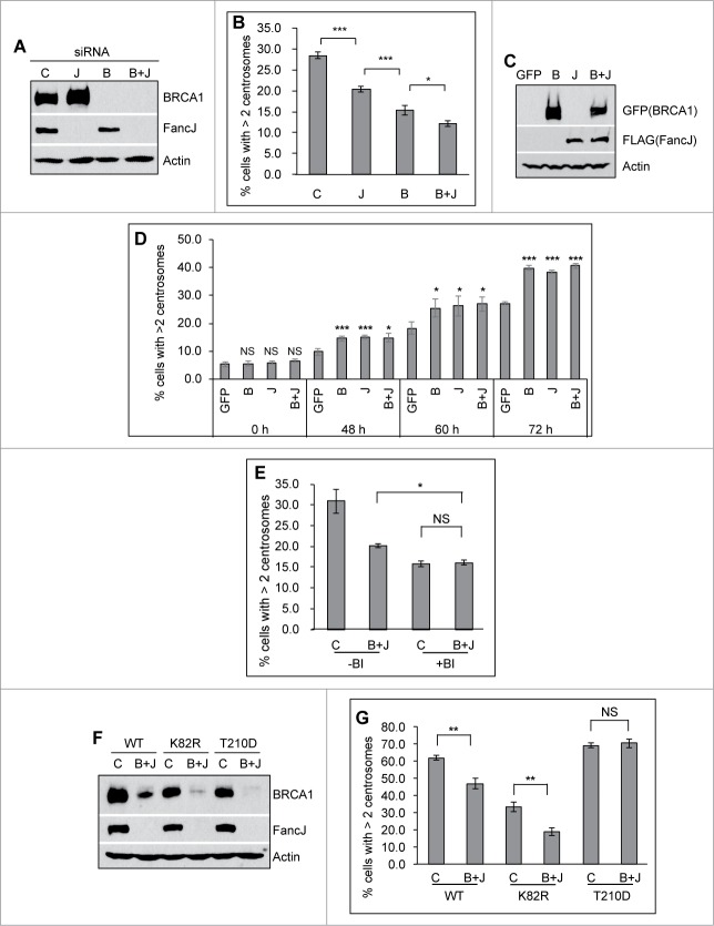 Figure 4 (See previous page).