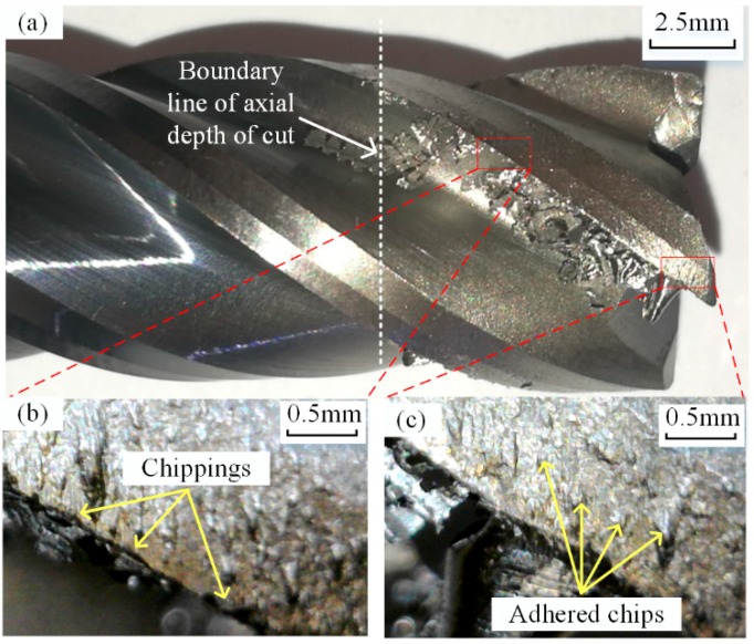 Figure 11