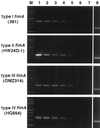 FIG. 1
