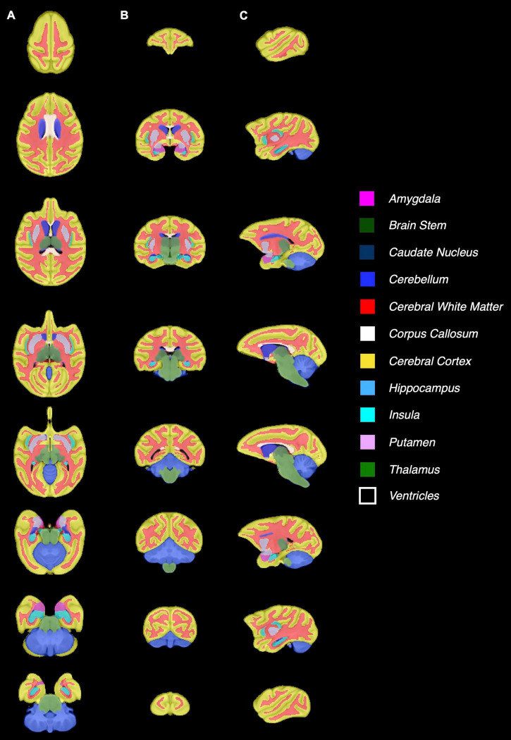 FIGURE 3