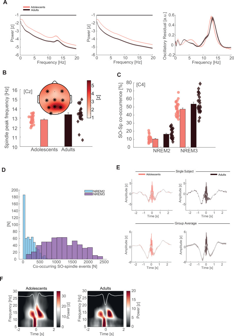 Figure 3—figure supplement 1.