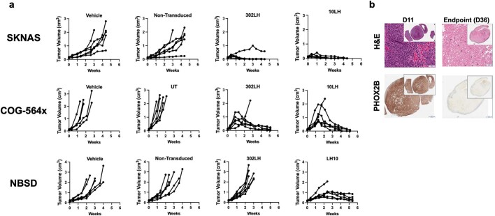 Extended Data Fig. 17