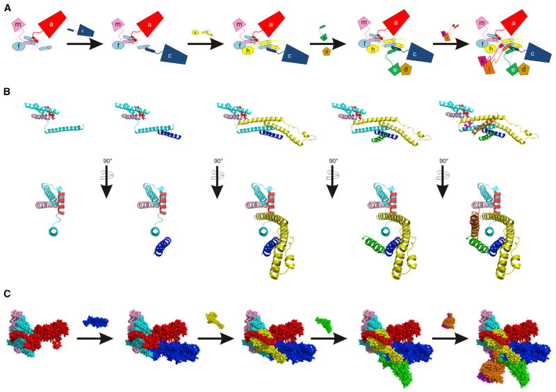 Figure 5