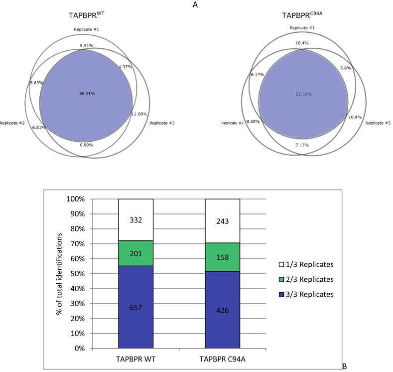 Figure 5—figure supplement 3.