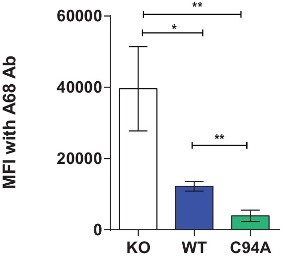 Figure 5—figure supplement 1.