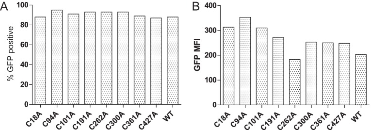 Figure 2—figure supplement 1.