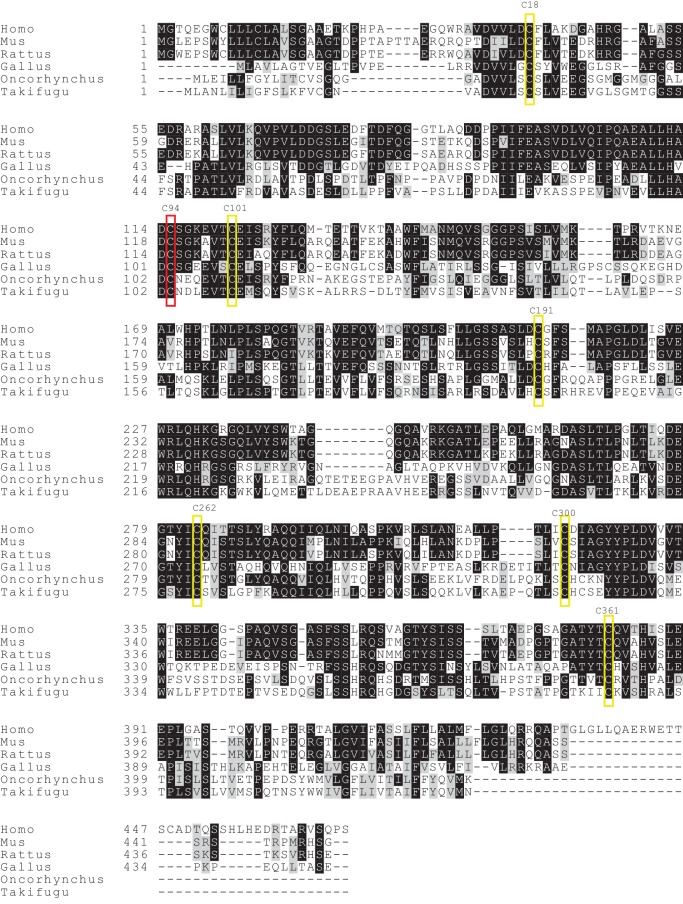 Figure 3—figure supplement 1.