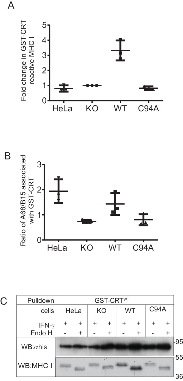 Figure 6—figure supplement 1.