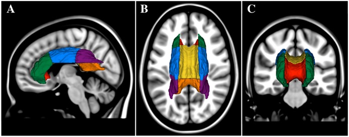 Fig 2