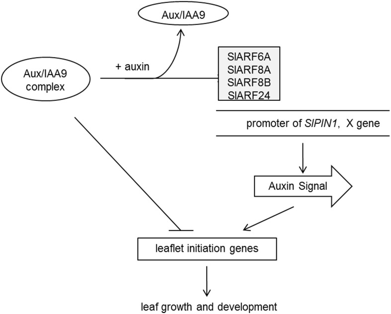 FIGURE 6