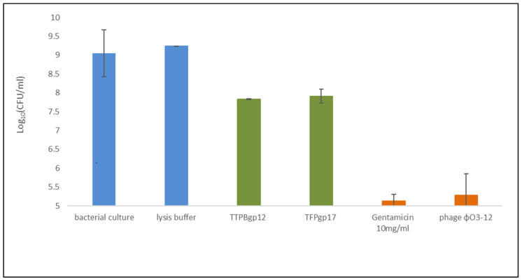 Figure 11