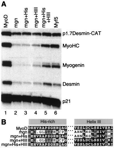 FIG. 6