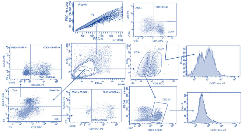 Figure 6