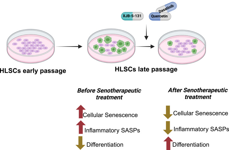 graphic file with name 12015_2025_10876_Figa_HTML.jpg