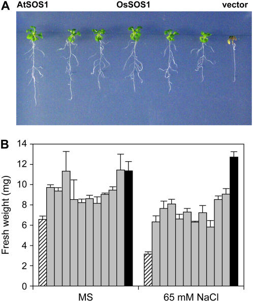 Figure 4.