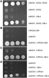 Figure 6.