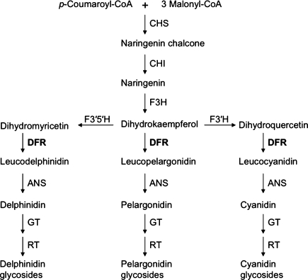 Fig. 4