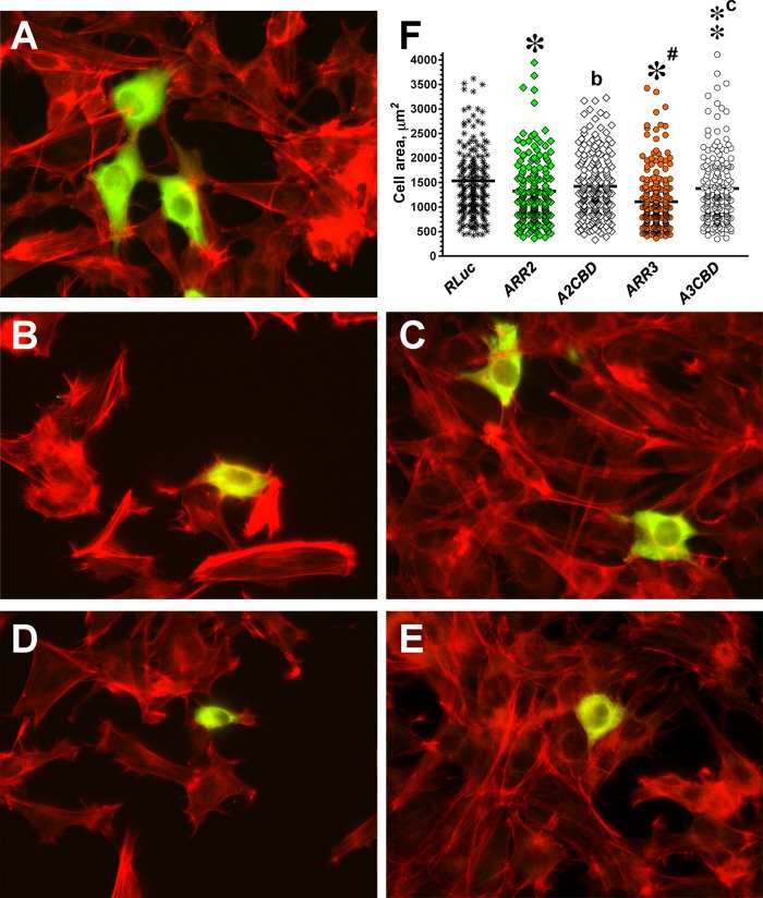 FIGURE 6: