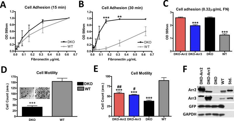 FIGURE 2: