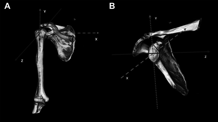 Figure 2.