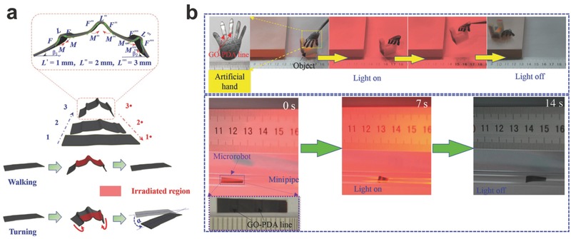 Figure 20