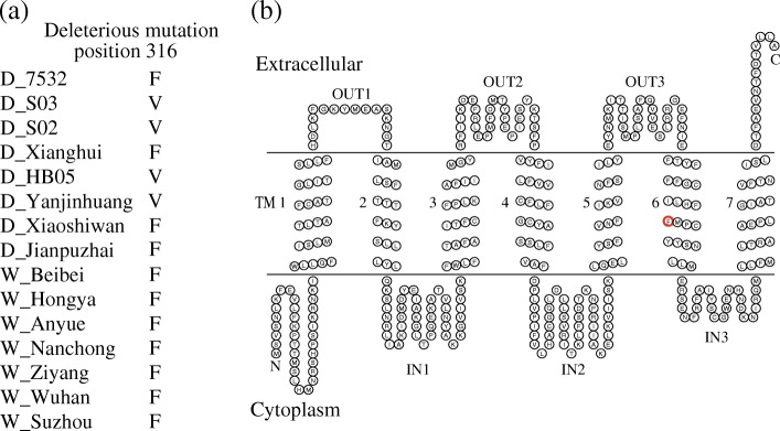 Fig. 7